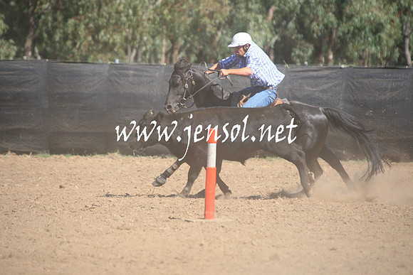 GundagaiGiddyup2013_1D_1557
