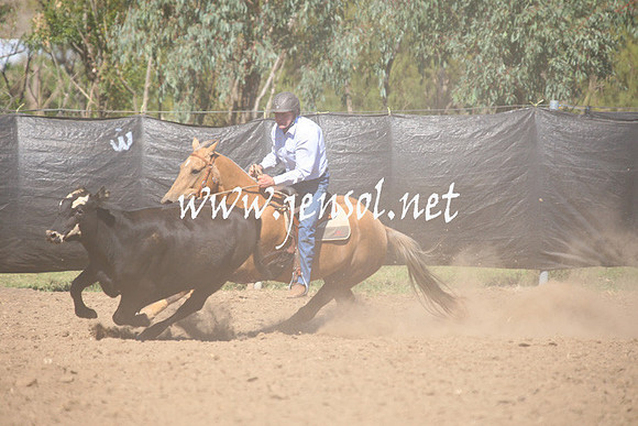 GundagaiGiddyup2013_1D_1643