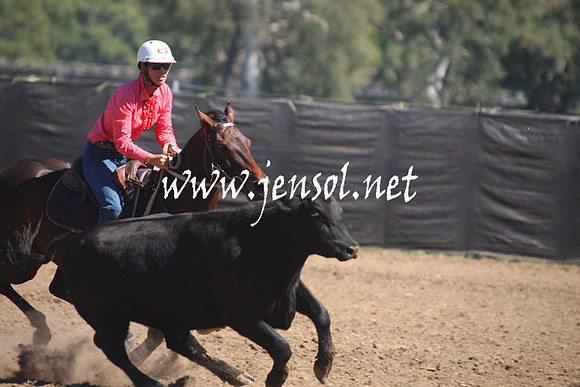 GundagaiGiddyup2013_1D_1594