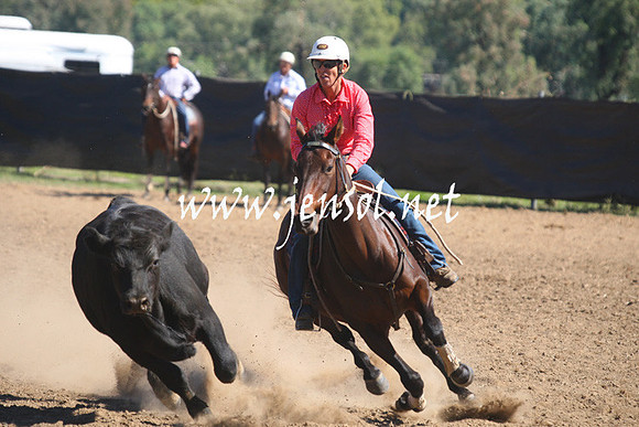 GundagaiGiddyup2013_1D_1601