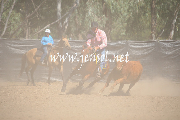 GundagaiGiddyup2013_1D_1697