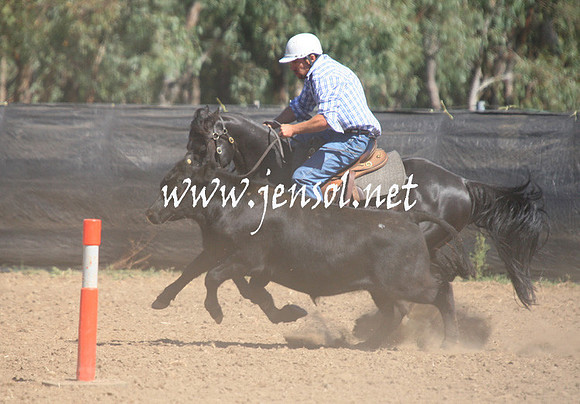 GundagaiGiddyup2013_1D_1558