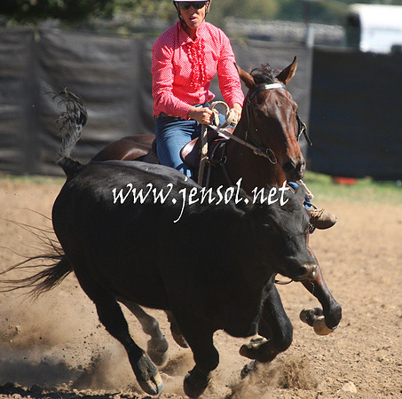 GundagaiGiddyup2013_1D_1597