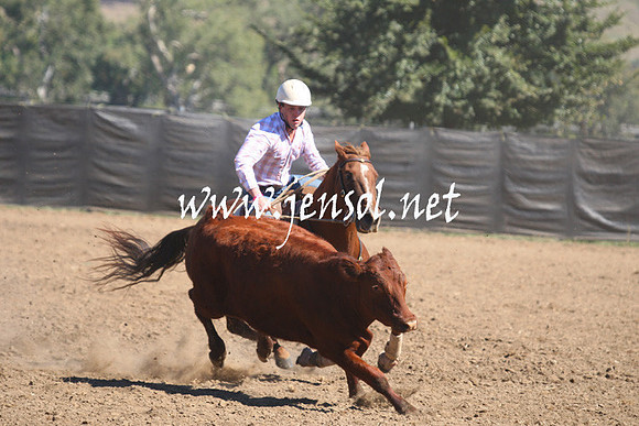 GundagaiGiddyup2013_1D_1494