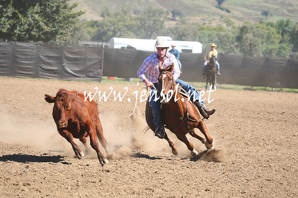 GundagaiGiddyup2013_1D_1497