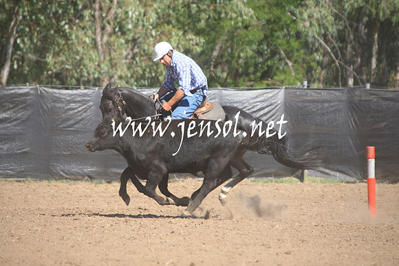 GundagaiGiddyup2013_1D_1561