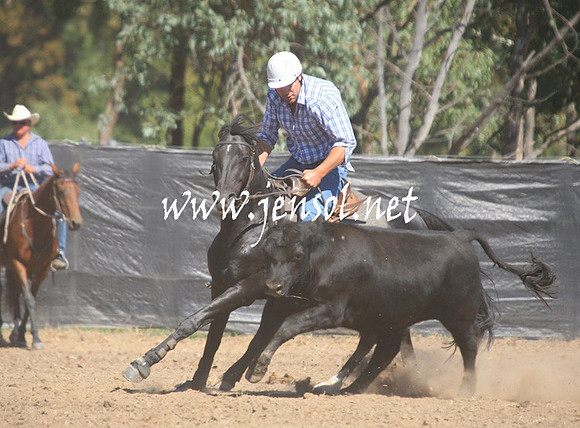 GundagaiGiddyup2013_1D_1565