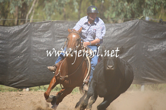 GundagaiGiddyup2013_1D_1701