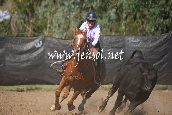 GundagaiGiddyup2013_1D_1441