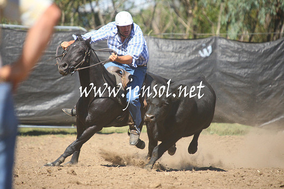 GundagaiGiddyup2013_1D_1534