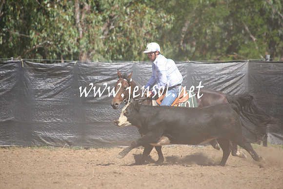 GundagaiGiddyup2013_1D_1584