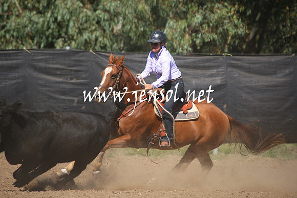 GundagaiGiddyup2013_1D_1434