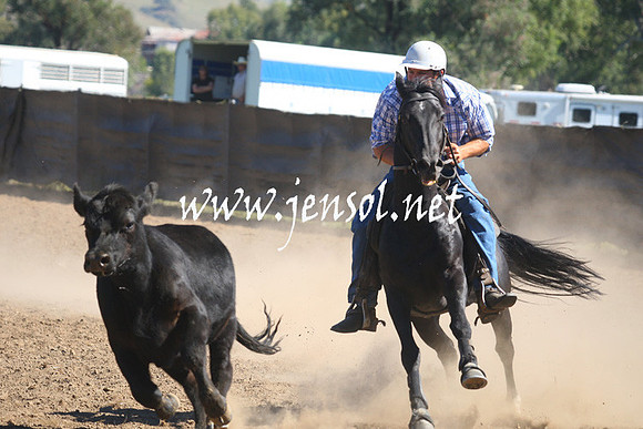 GundagaiGiddyup2013_1D_1551
