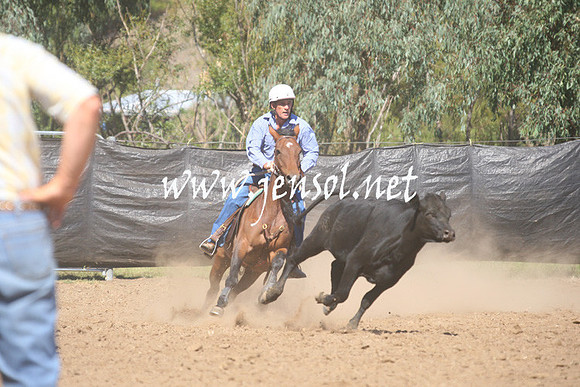 GundagaiGiddyup2013_1D_1750