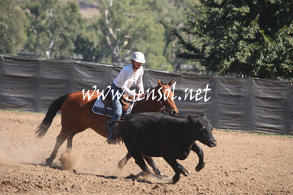 GundagaiGiddyup2013_1D_1517