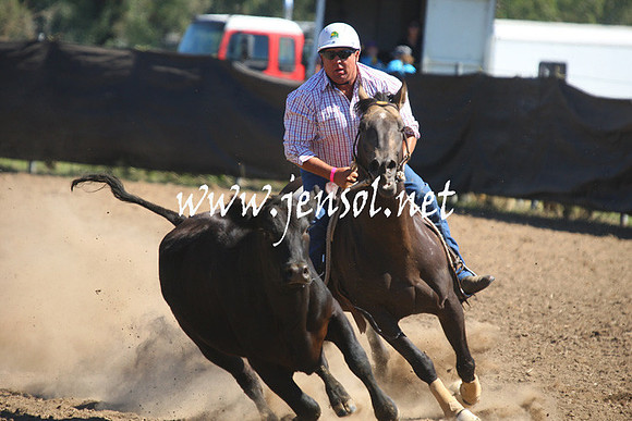 GundagaiGiddyup2013_1D_1734