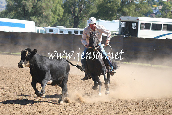 GundagaiGiddyup2013_1D_1666