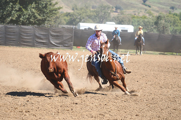 GundagaiGiddyup2013_1D_1496