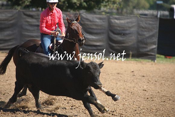 GundagaiGiddyup2013_1D_1598