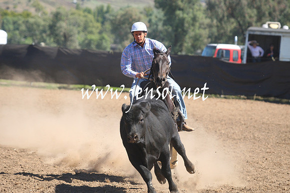 GundagaiGiddyup2013_1D_1793