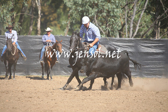 GundagaiGiddyup2013_1D_1564