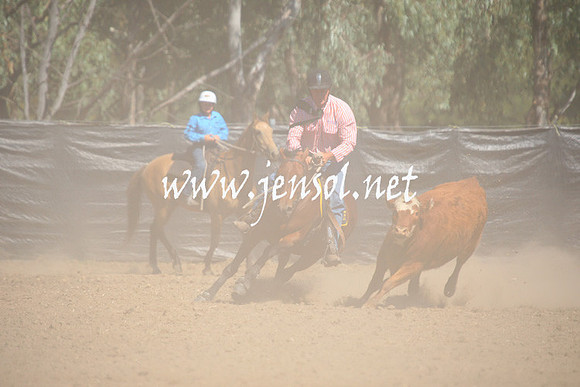 GundagaiGiddyup2013_1D_1698