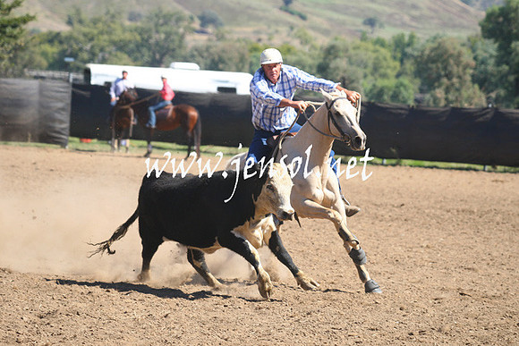 GundagaiGiddyup2013_1D_1626