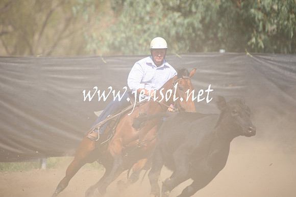 GundagaiGiddyup2013_1D_1801