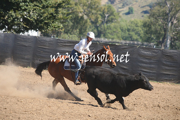 GundagaiGiddyup2013_1D_1514
