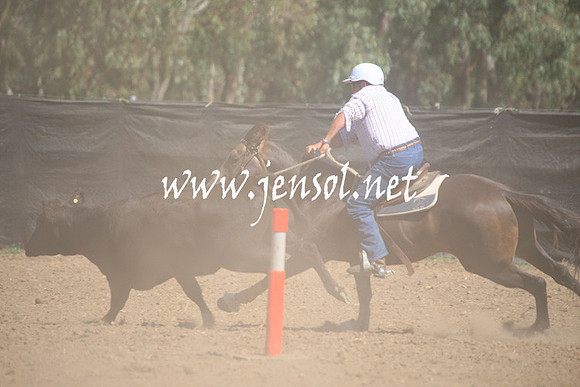 GundagaiGiddyup2013_1D_1743