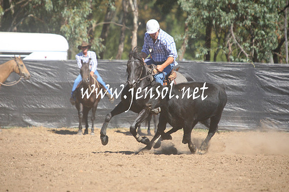 GundagaiGiddyup2013_1D_1562
