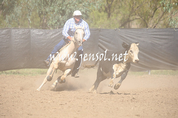 GundagaiGiddyup2013_1D_1607