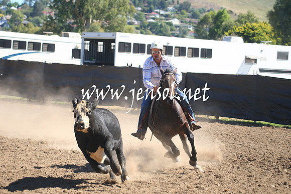 GundagaiGiddyup2013_1D_1578