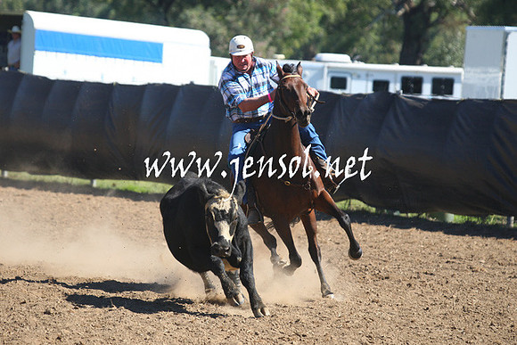 GundagaiGiddyup2013_1D_1471
