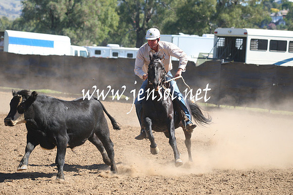 GundagaiGiddyup2013_1D_1669