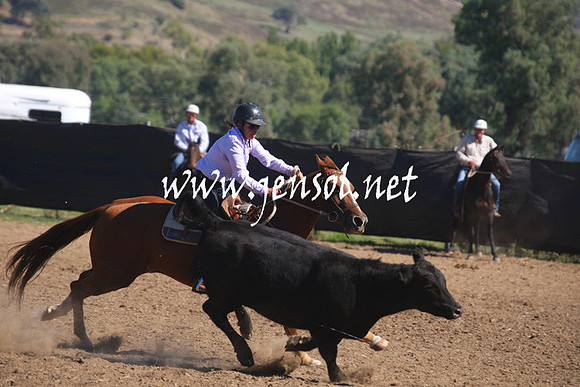 GundagaiGiddyup2013_1D_1449