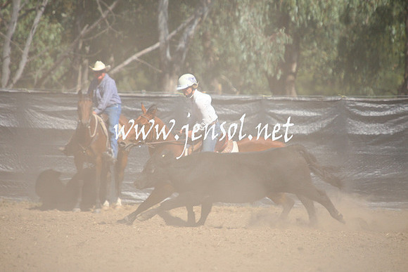 GundagaiGiddyup2013_1D_1528