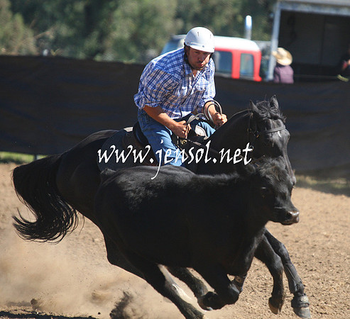 GundagaiGiddyup2013_1D_1541
