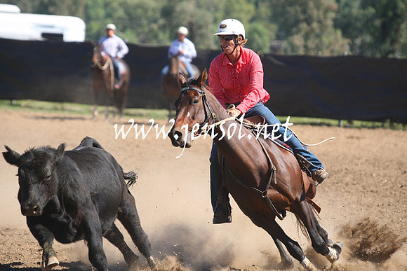 GundagaiGiddyup2013_1D_1604