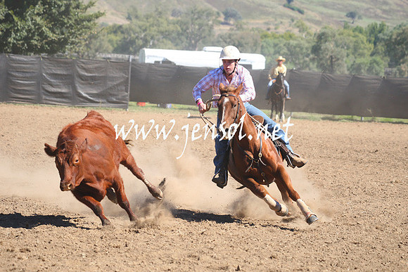 GundagaiGiddyup2013_1D_1498