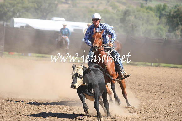 GundagaiGiddyup2013_1D_1489
