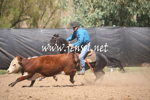 GundagaiGiddyup2013_1D_1756