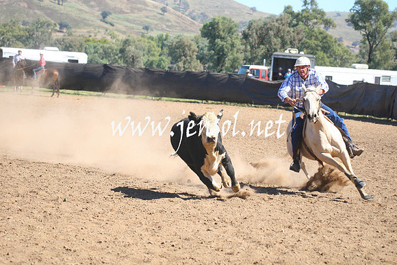 GundagaiGiddyup2013_1D_1625