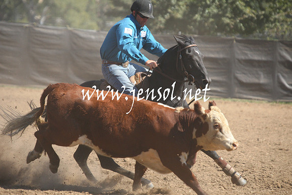 GundagaiGiddyup2013_1D_1766