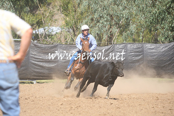 GundagaiGiddyup2013_1D_1749