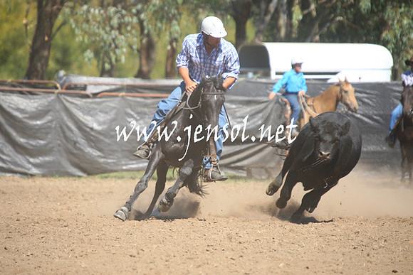 GundagaiGiddyup2013_1D_1568