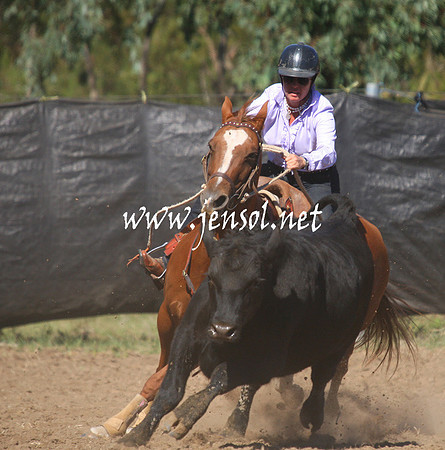 GundagaiGiddyup2013_1D_1438