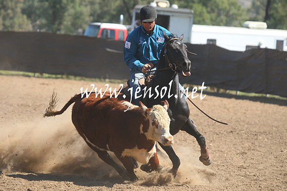 GundagaiGiddyup2013_1D_1771