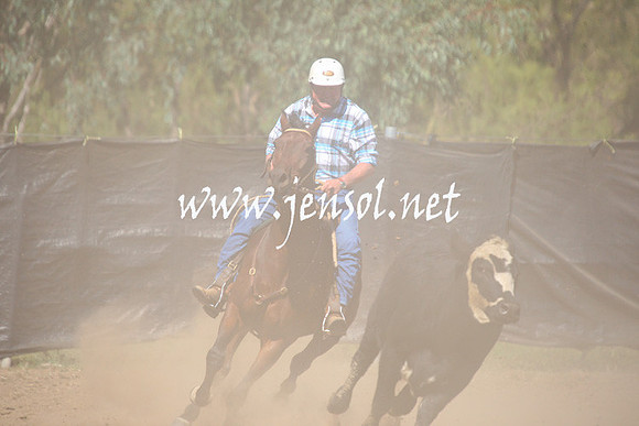GundagaiGiddyup2013_1D_1466
