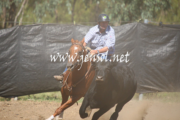 GundagaiGiddyup2013_1D_1702